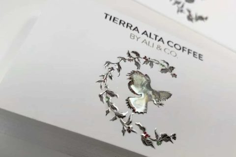 Business Cards – Spot UV Business Cards